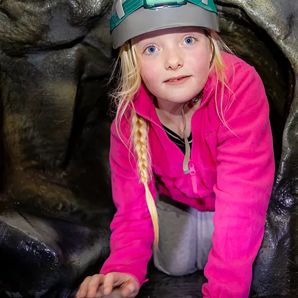 Children enjoying activities at Robinwood Activity Centres