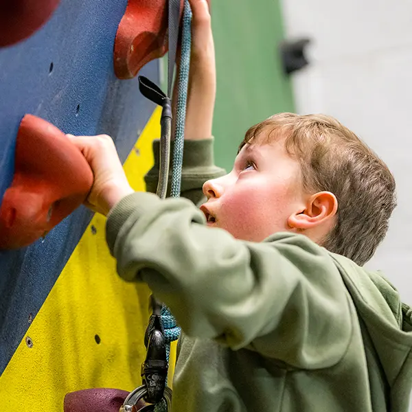 Children enjoying activities at Robinwood Activity Centres