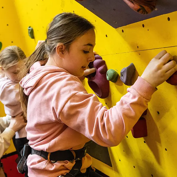 Children enjoying activities at Robinwood Activity Centres