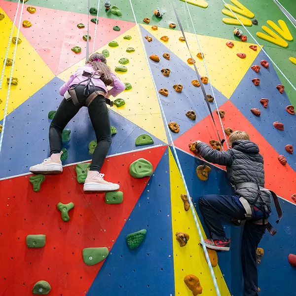 Children enjoying activities at Robinwood Activity Centres