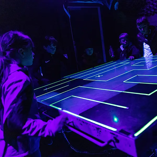 Children enjoying activities at Robinwood Activity Centres