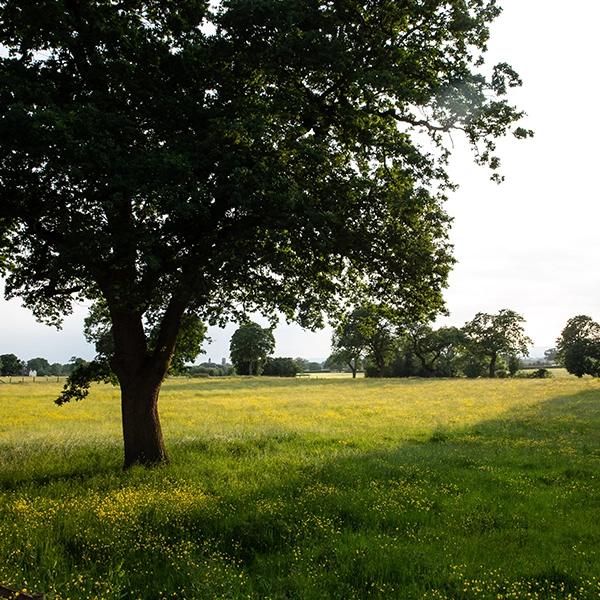 Maes y Nant Activity Centre