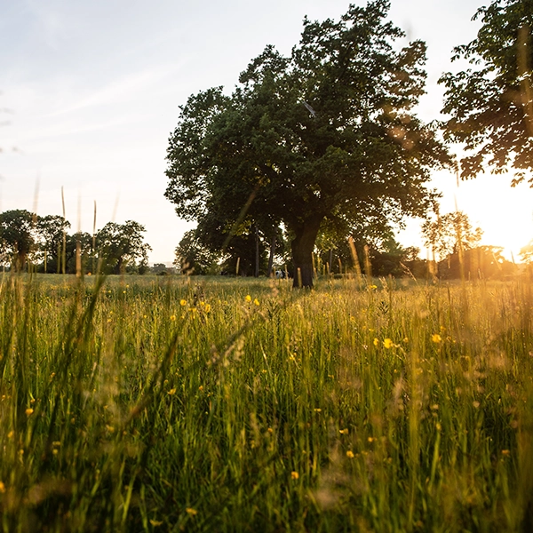 Maes y Nant Activity Centre