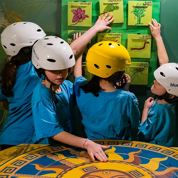 RobinwoodActivityCentre_Piranha Pool3_Sq