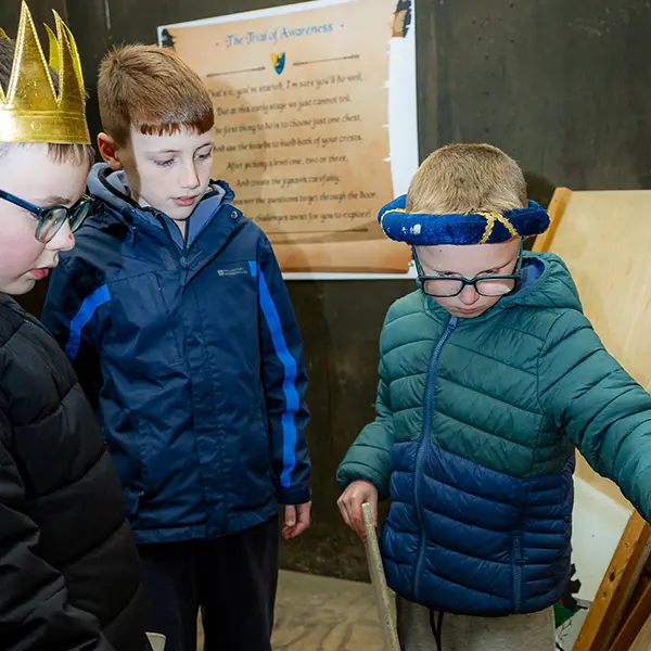 Children enjoying activities at Robinwood Activity Centres