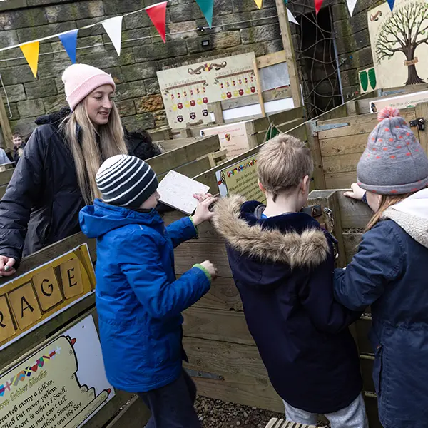 Children enjoying activities at Robinwood Activity Centres